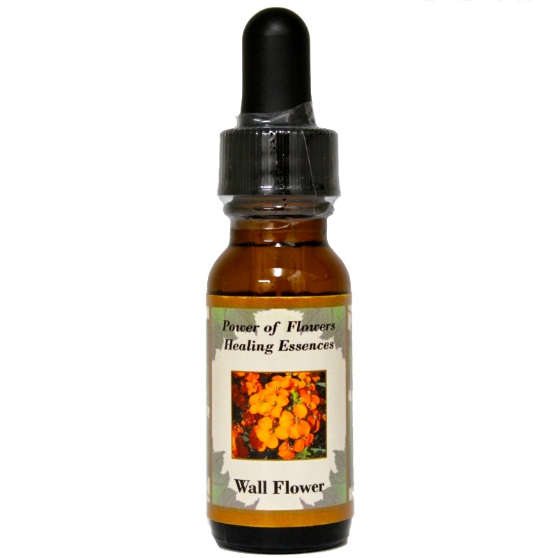 ウォールフラワー《パワーオブフラワーヒーリングエッセンス》15ml