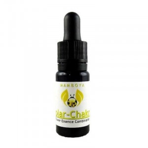 ストレングス（チャクラ:太陽神経叢）《ヒマラヤン・フラワー