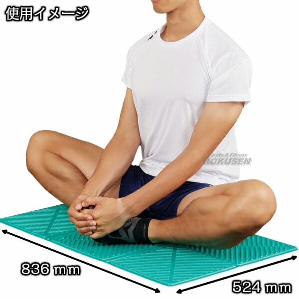 NISHI ニシ・スポーツ 折りたたみ式エクサマットSQ-II 3833A726