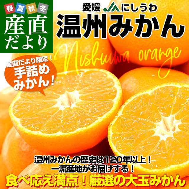 愛媛県より産地直送 JAにしうわ 西宇和温州みかん 2Lサイズ 約5キロ