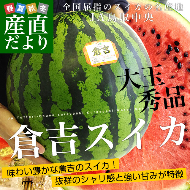 鳥取県産JA鳥取中央 倉吉スイカ 秀品 大玉4Lサイズ 9キロ以上 1玉 西瓜