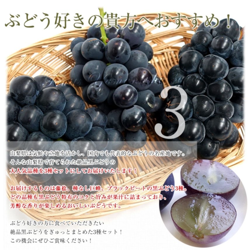 山梨県産 JAフルーツ山梨 黒ぶどう3種セット 約1.4キロ (ブラック