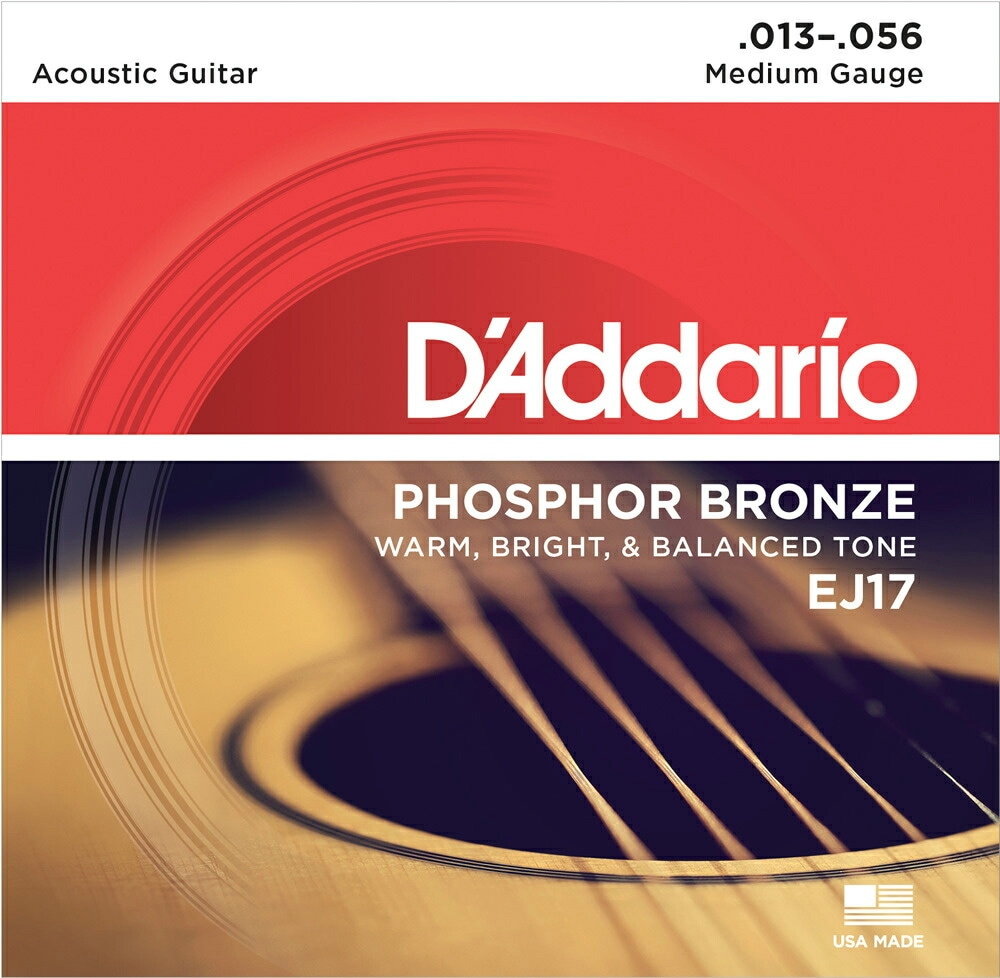 D'Addario ダダリオ アコースティックギター弦 バルクセット弦 EJ17