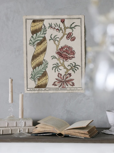 Antoinette Poissonドミノペーパー31C ～ サラグレース