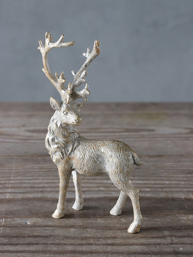 3_000000024390.jpg?1696922393