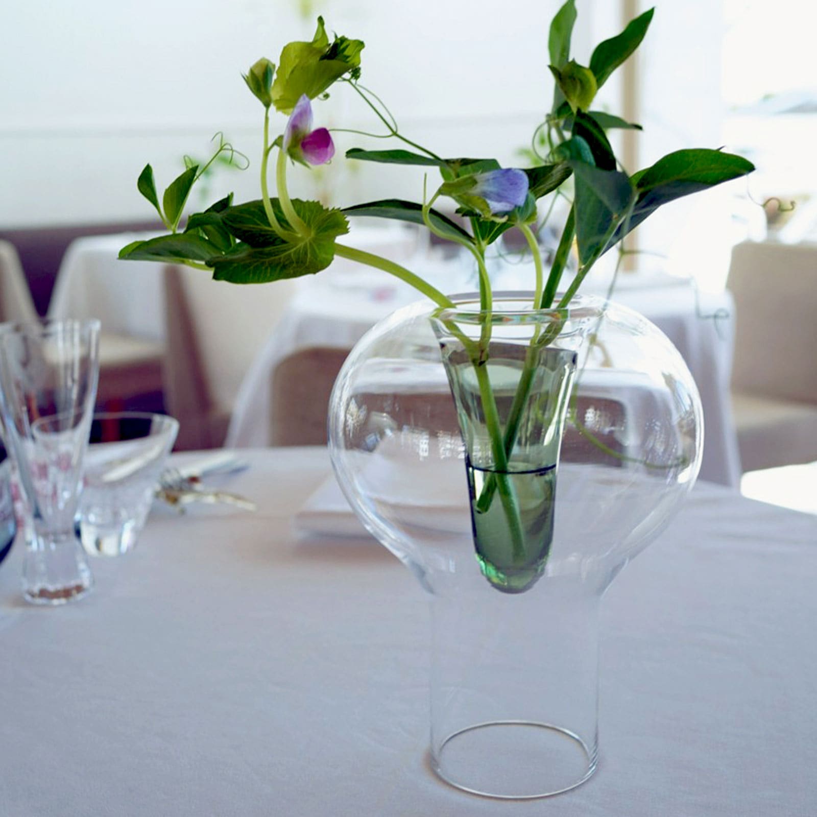 アエロ：フラワーベース | | Sghr