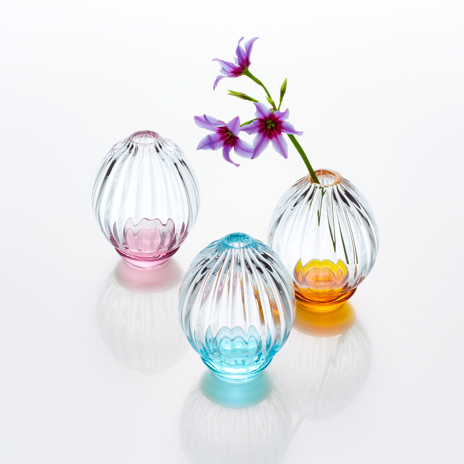 ハナヤギ：一輪挿し | 一輪挿し | Sghr