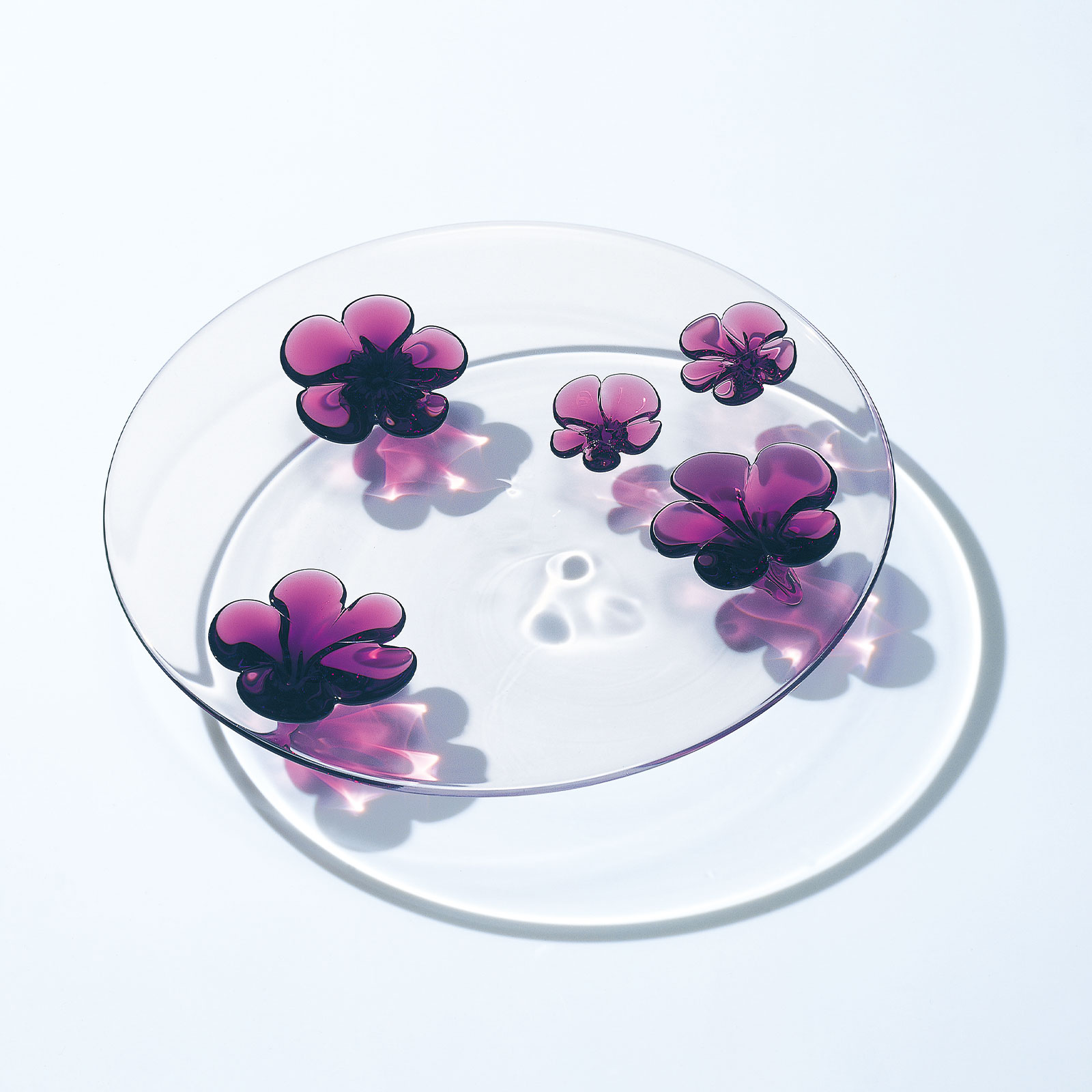 カメリア：プレート (23cm) | 平皿 | Sghr