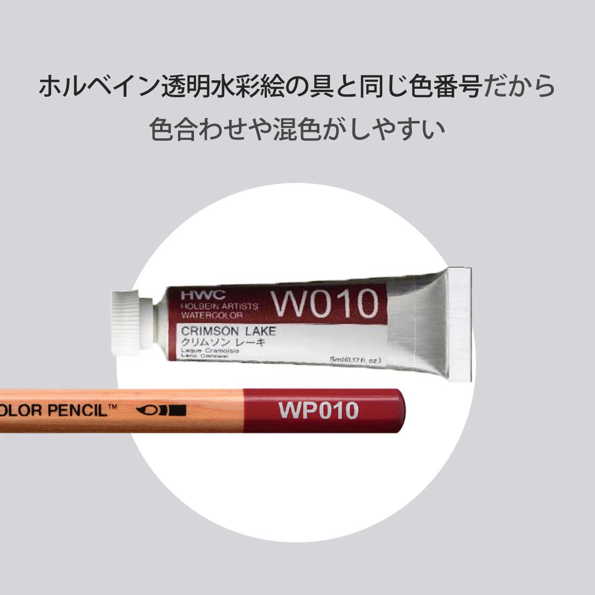 新商品プライス】ホルベイン 水彩色鉛筆 50色セット | ホルベイン水彩
