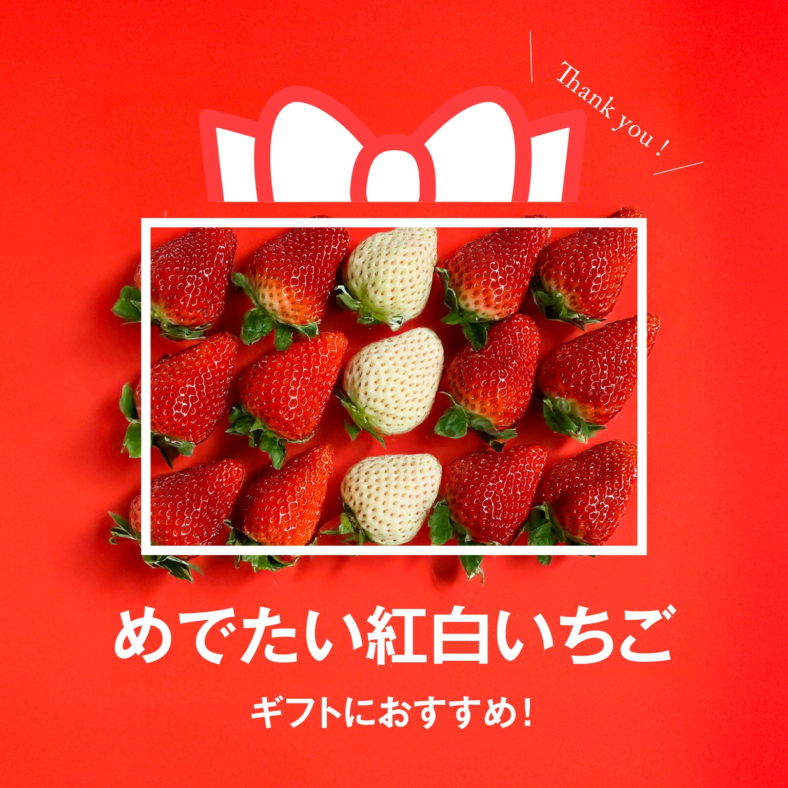 再入荷!! 【5セット限定】開運！プレミアム 紅白いちごセット / 農家