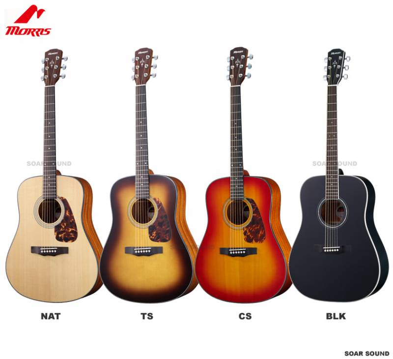 Morris モーリス アコースティックギター M-351 (I) アコギ エントリー