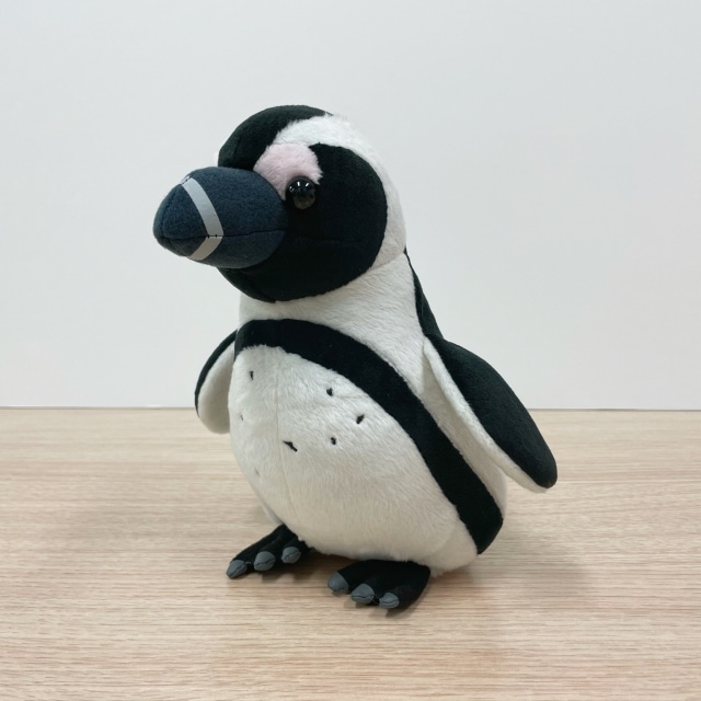 水族館オリジナル】 ケープペンギンぬいぐるみ | サンシャイン水族館