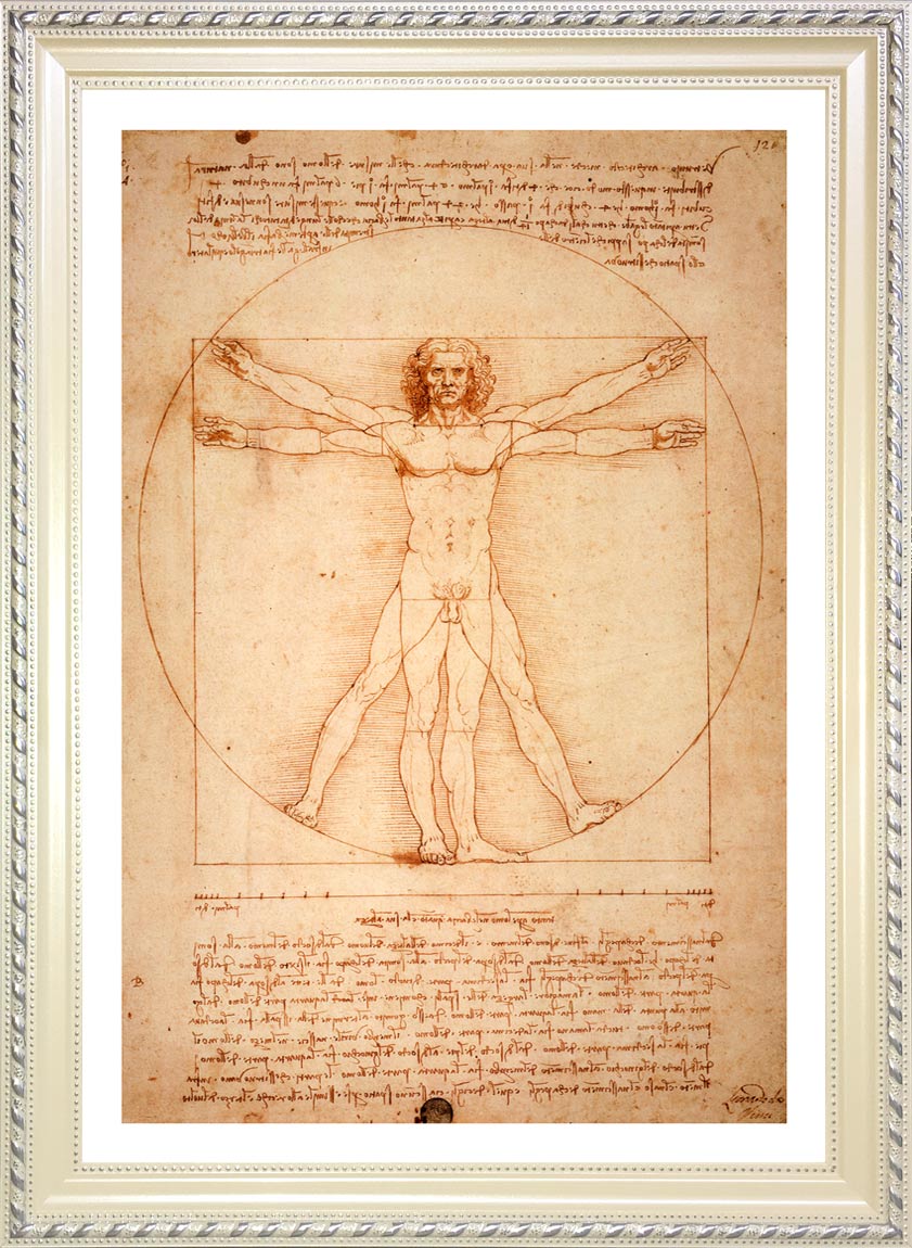 ダヴィンチ ウィトルウィウス的人体図 ジークレーポスター額装品