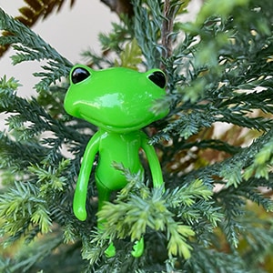 フォーチュンワンダフレンド ワンダ / FWF Wanda