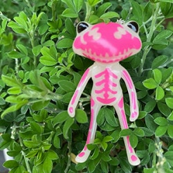 フォーチュンワンダフレンド / FWF