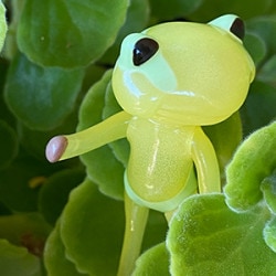 フォーチュンワンダフレンド / FWF