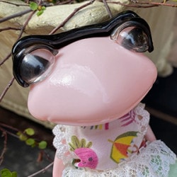 ワンダーフロッグアイテム