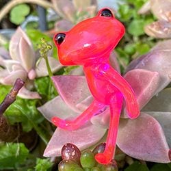 フォーチュンワンダフレンド / FWF