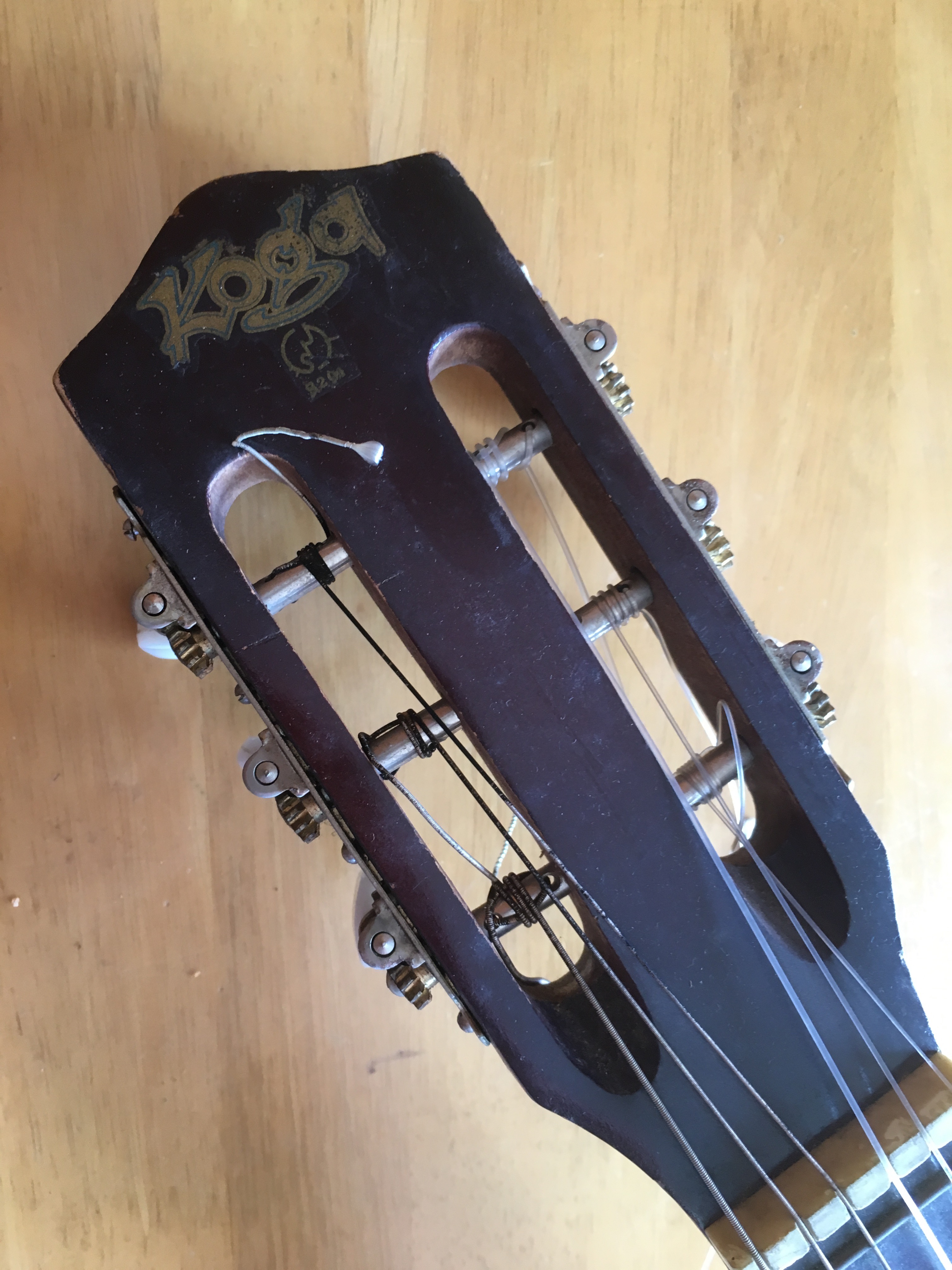 Koga Guitar | Catch and Release