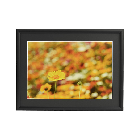 アルミ額縁 A33 A3ノビ ブラック: フレーム・額縁 | フジフイルムモール