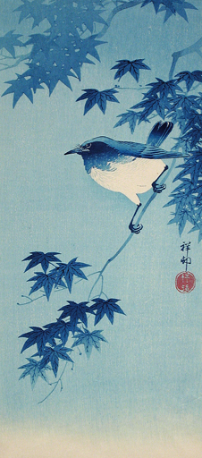 Robin on a Maple Branch | 小原古邨 Ohara Koson | 絵画・イラスト