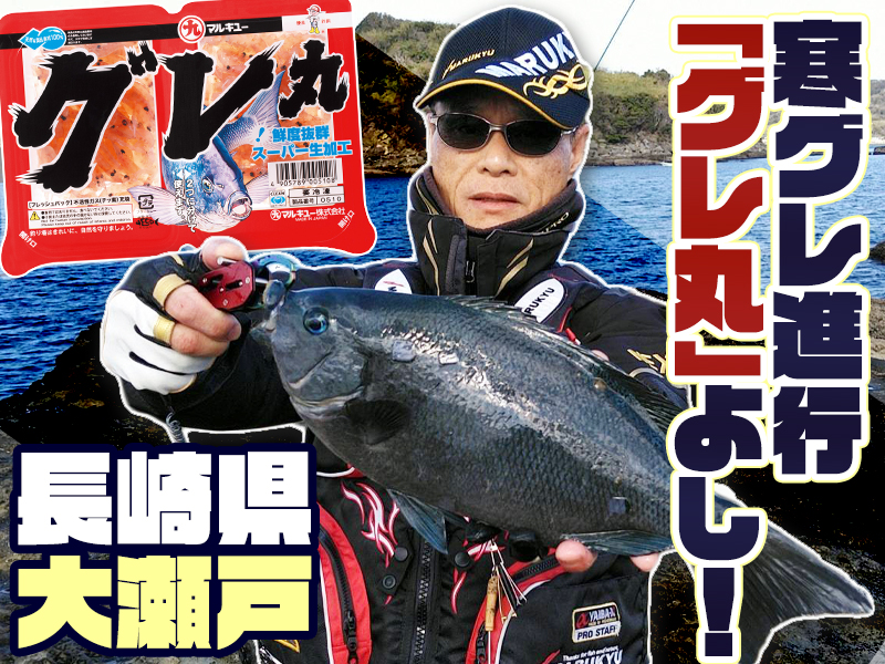 寒グレ進行、「グレ丸」よし！〜長崎県大瀬戸 | マルキユー九州 フカセ