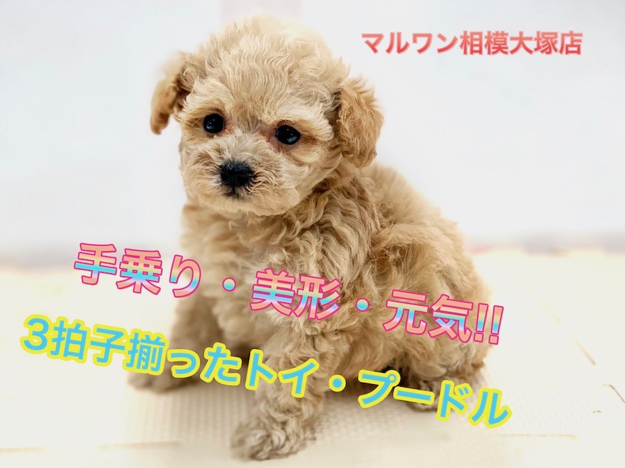 5addf42f68805df6d651575c89aa28