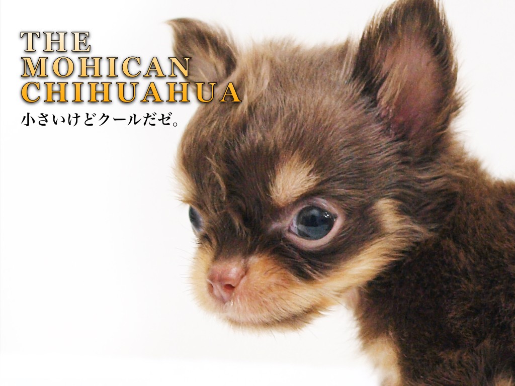 8170e06b63fed4e575b90bb901781d