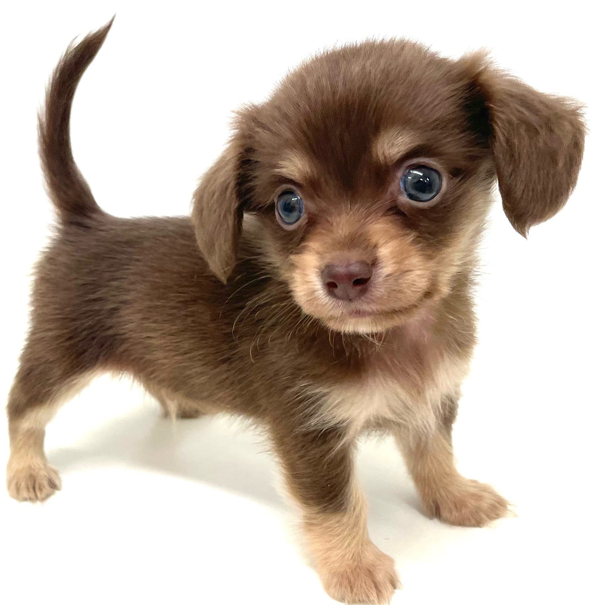 5cbf567ea13a9377380ae844579336