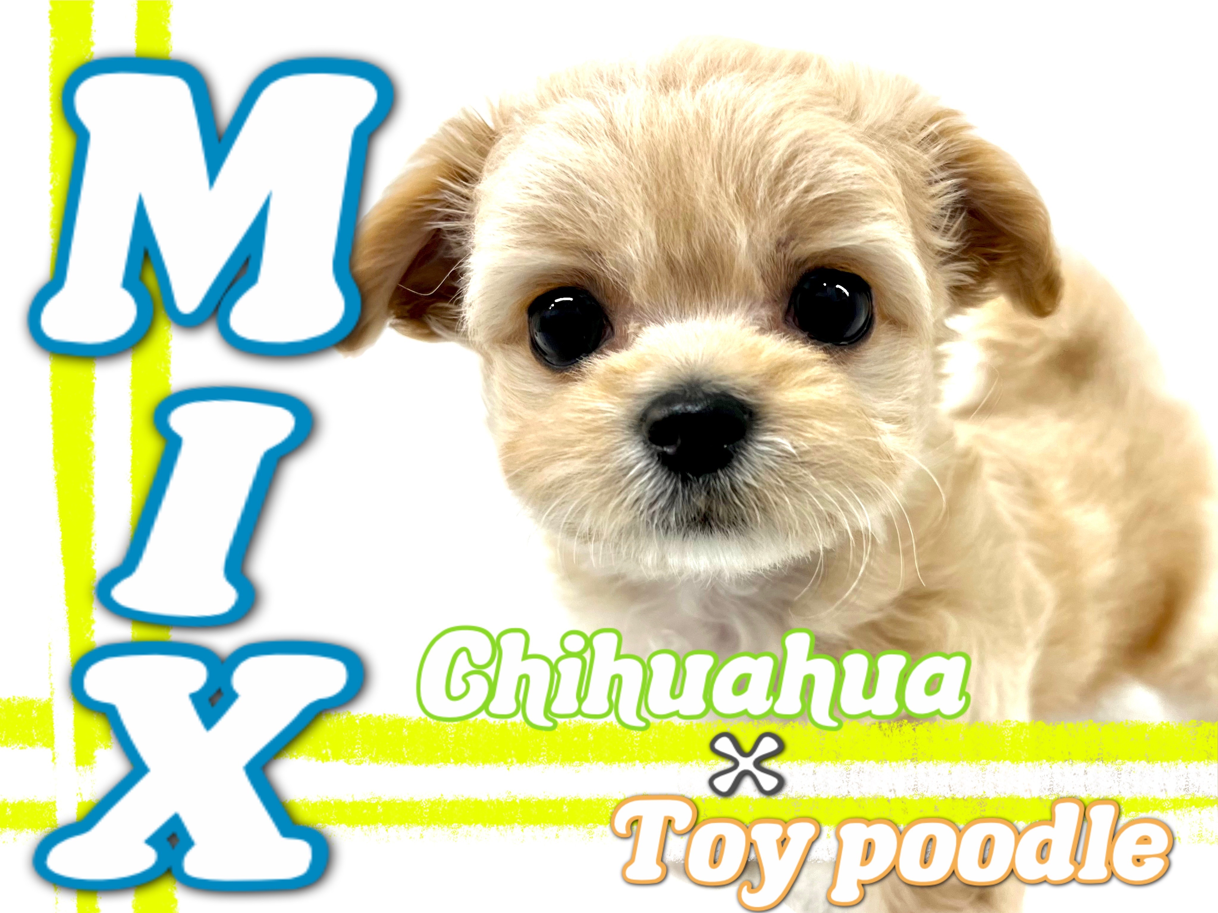 8034f10018b47a28f5b06044404fa0