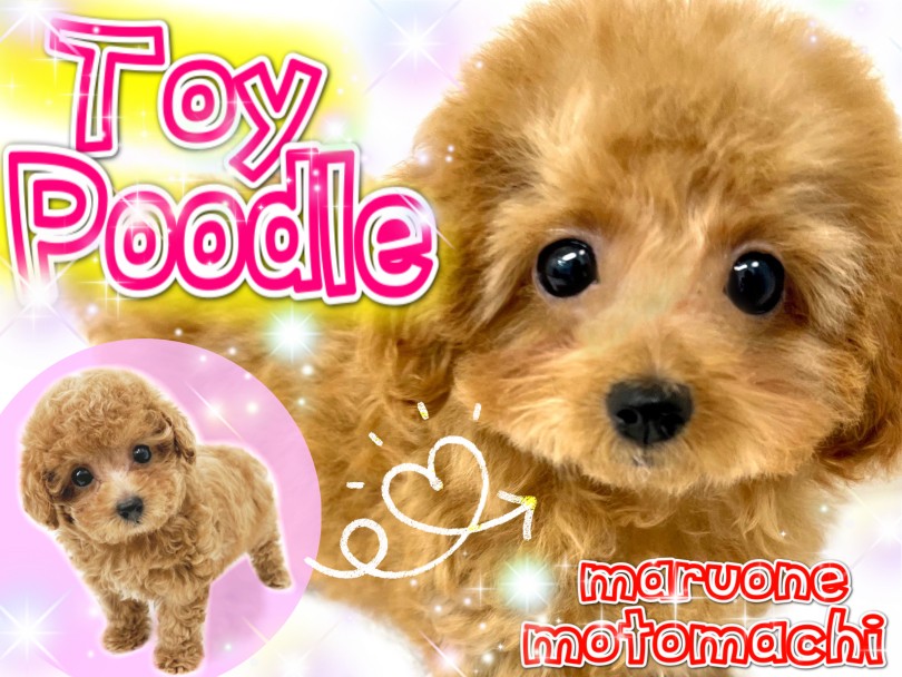 5bad2ba9656fd3f4a703880297e62d