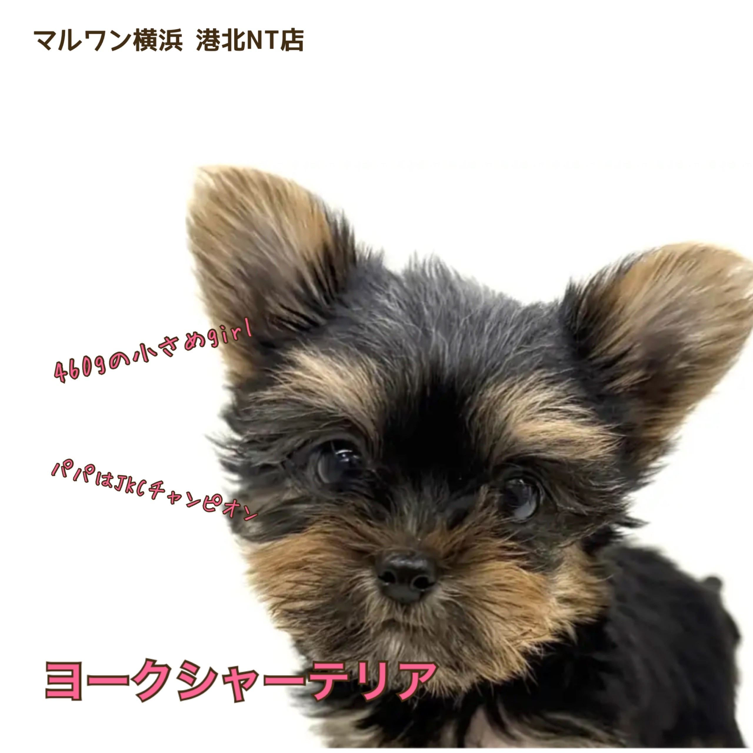 99666ed7ae33600acc17d1565773fd