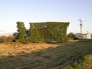 築地松の町並み
