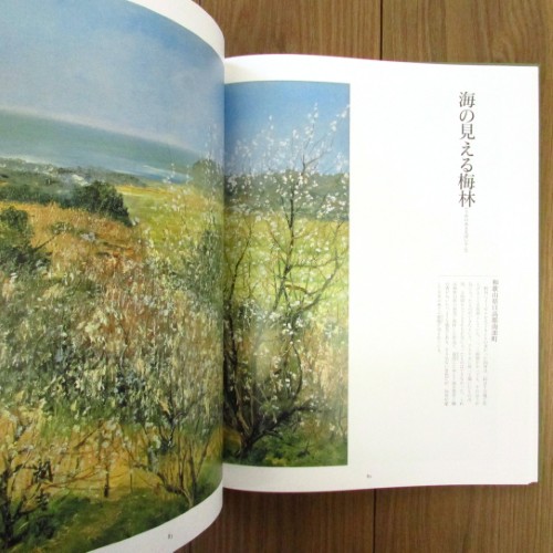 向井潤吉風景画選集 懐かしき日本の風景