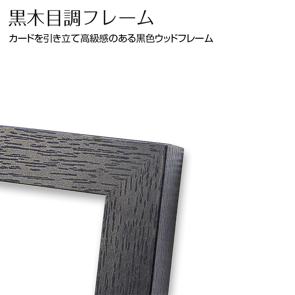 PSA鑑定品用ピクチャーフレーム TCG-FRA | マックスウィン | MAXWIN