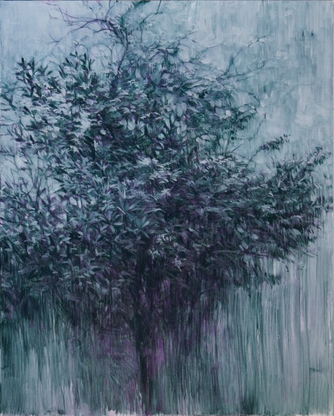 児玉靖枝展『Asyl』 | MEM