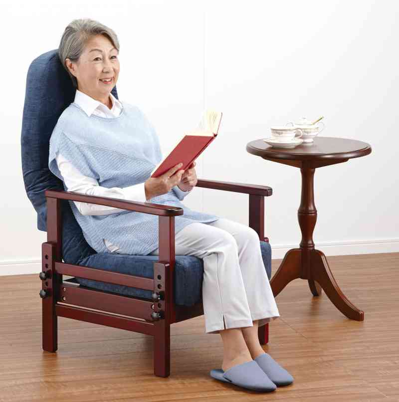 背中ピッタリ腰が楽!背楽チェアSEC-01 | フランスベッド【品番