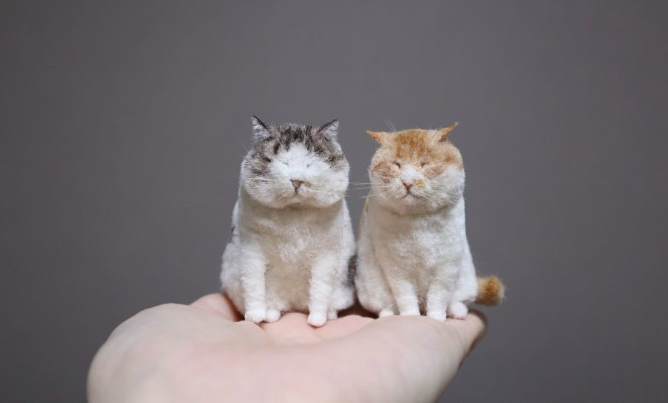 1日15分から無理なく続ける！愛猫を羊毛フェルトで作ってみませんか