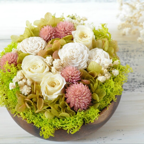 スモークツリーとグリーンのフライングボール＊フライングリース