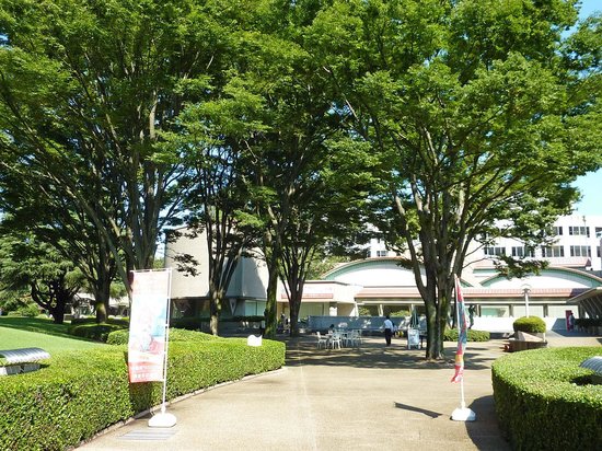 佐藤助雄「桃源」 - Picture of Setagaya Art Museum - Tripadvisor