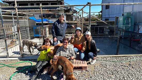 土佐犬の横綱 - Picture of Tosa Dog Museum, Kochi - Tripadvisor
