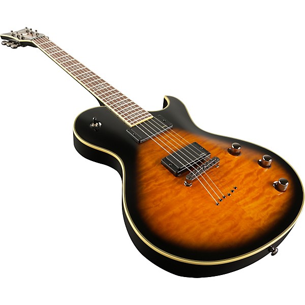 Schecter Guitar Research Hellraiser Special Solo-6 Electric Guitar