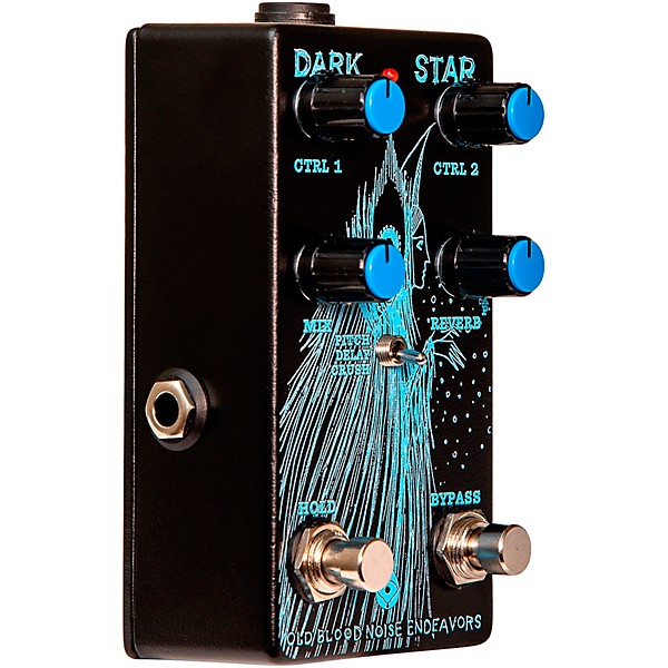Old Blood Noise Endeavors Dark Star Reverb Effects Pedal | Guitar