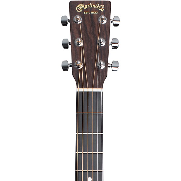 Martin Special GPC Style 10 Road Series Acoustic-Electric Guitar