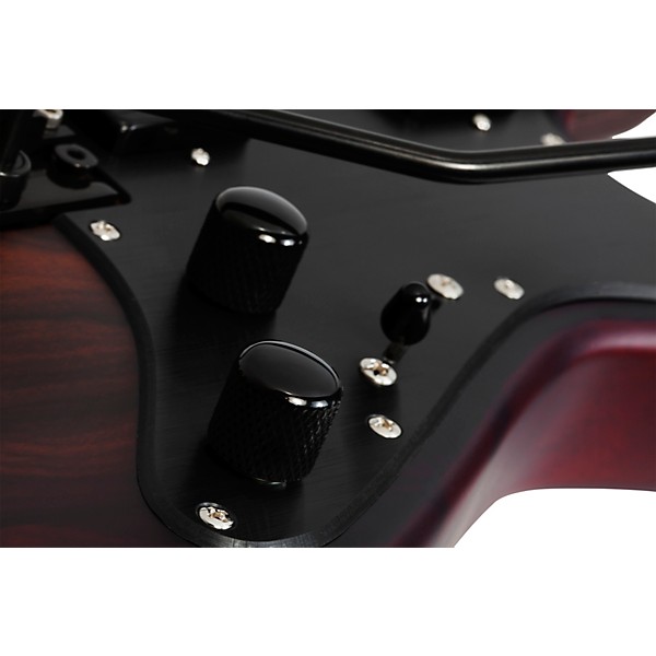 Open Box Schecter Guitar Research SVSS Exotic Ziricote 6-String