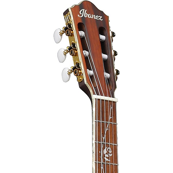 Ibanez TOD10N Tim Henson Signature Nylon Acoustic-Electric Guitar