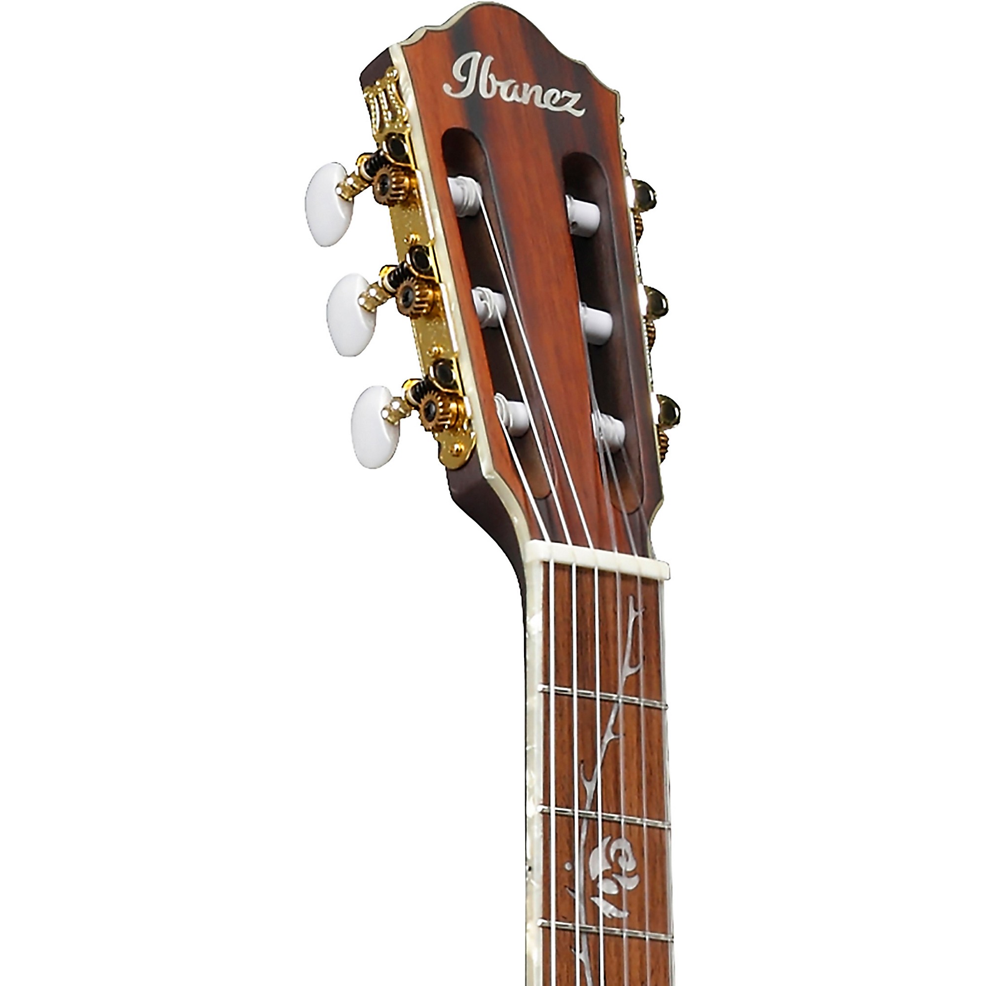 Ibanez TOD10N Tim Henson Signature Nylon Acoustic-Electric Guitar