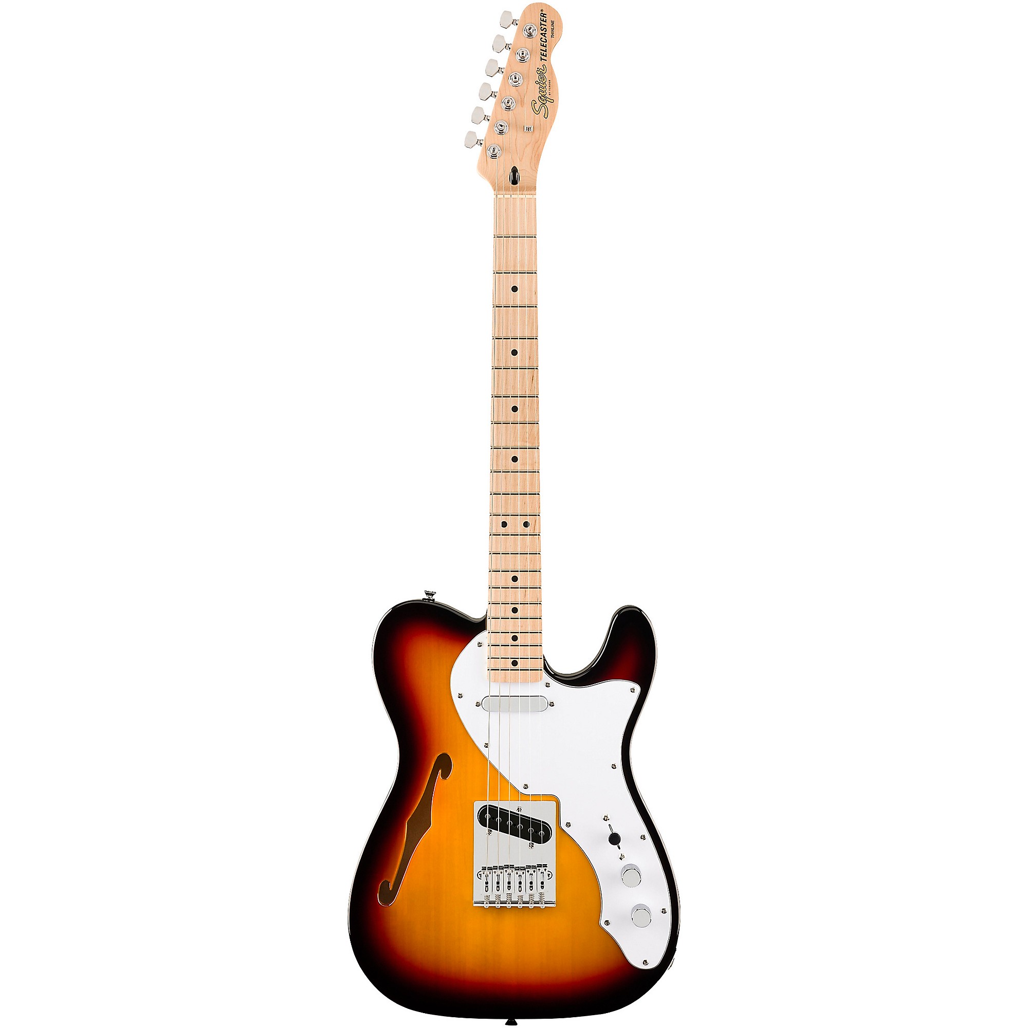 Squier Affinity Series Telecaster Thinline Maple Fingerboard