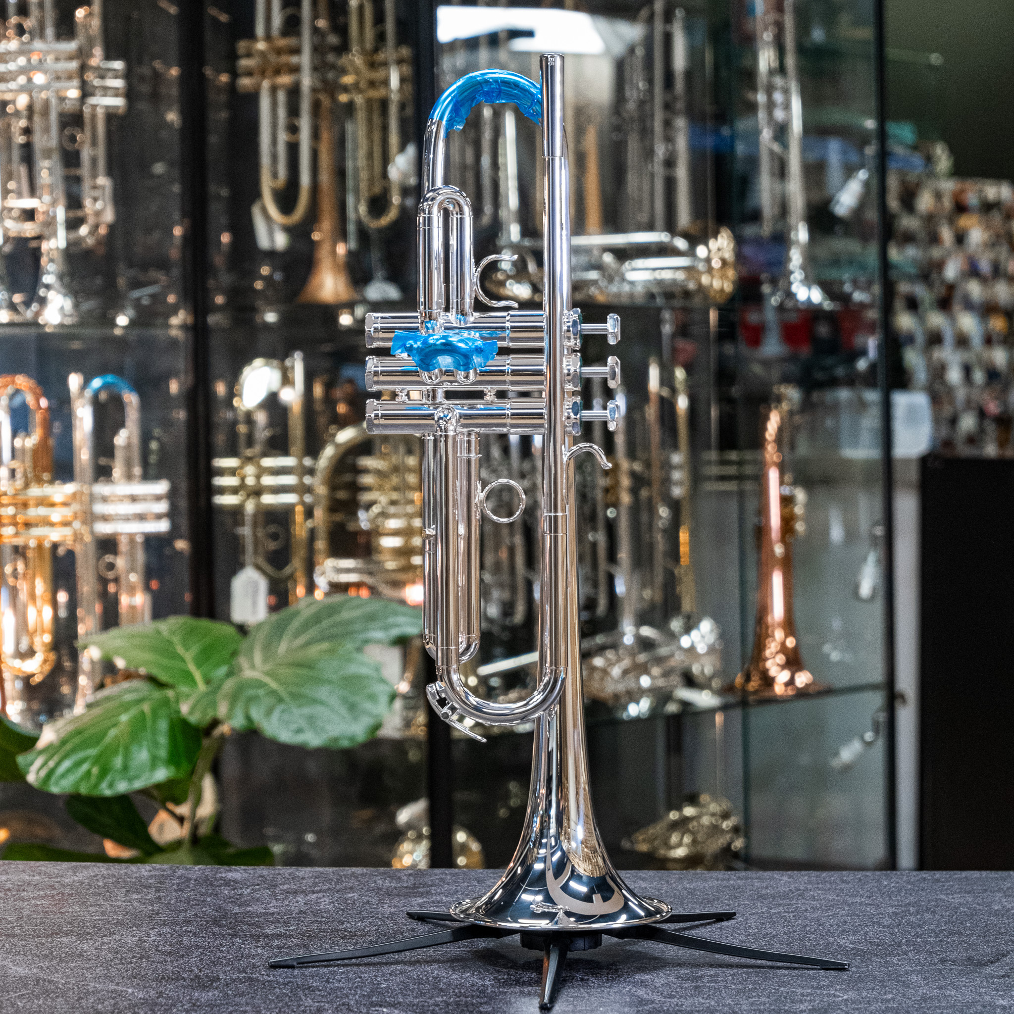 Schilke B5 Bb Trumpet - New - 846867000031