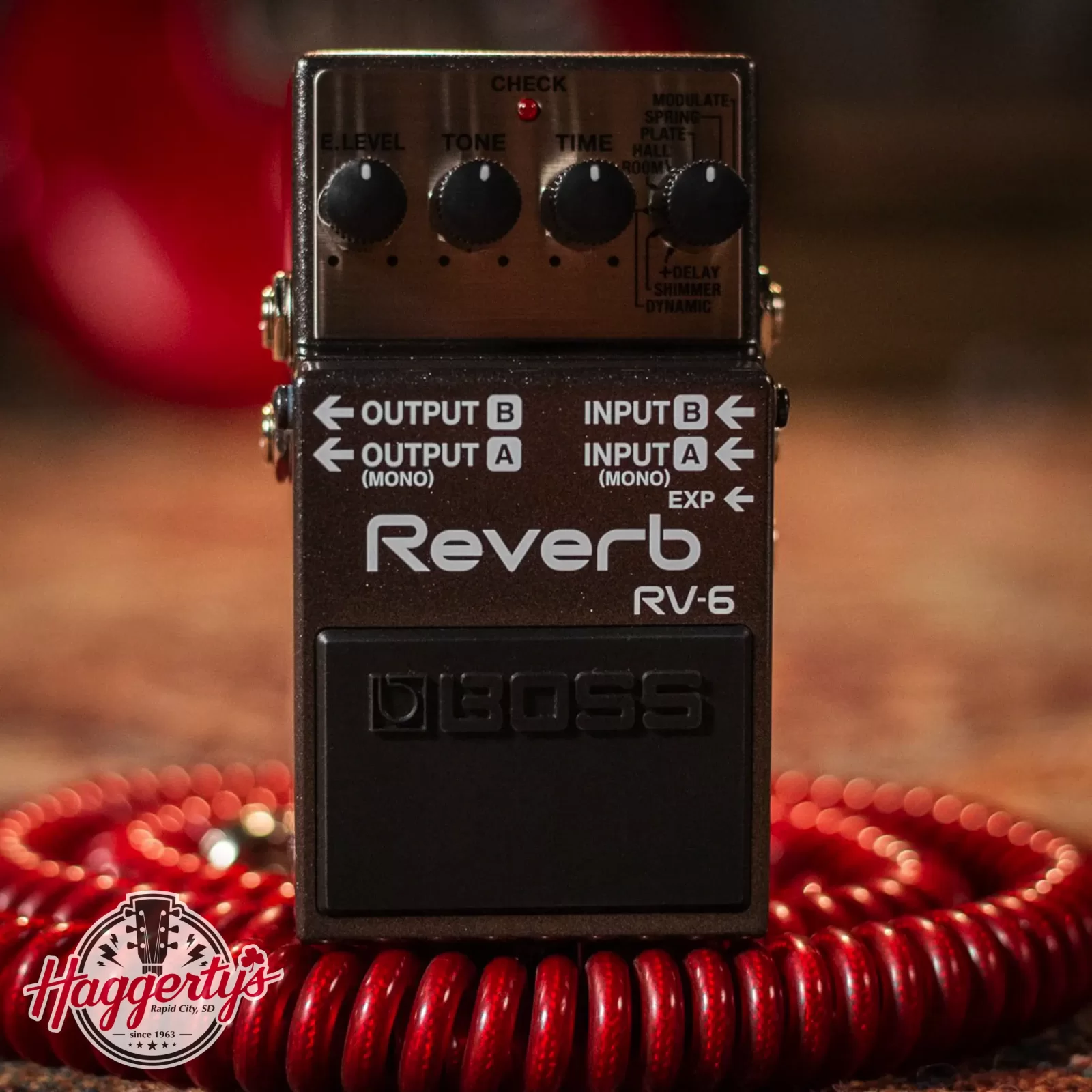 Boss RV-6 Digital Reverb Pedal - 761294507285